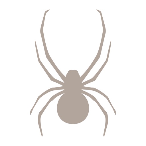 Fieldstone Guide: Spiders