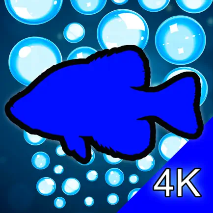 Aquarium 4K - Ultra HD Video Читы