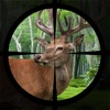 Deer Hunting Expert Shooting 2017
