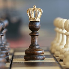 Activities of Chess Master - Ultimate guide