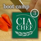 CIA Boot Camp 3
