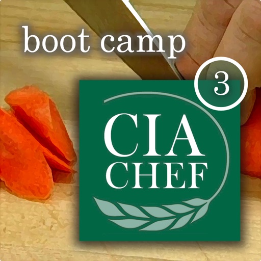 CIA Boot Camp 3 icon