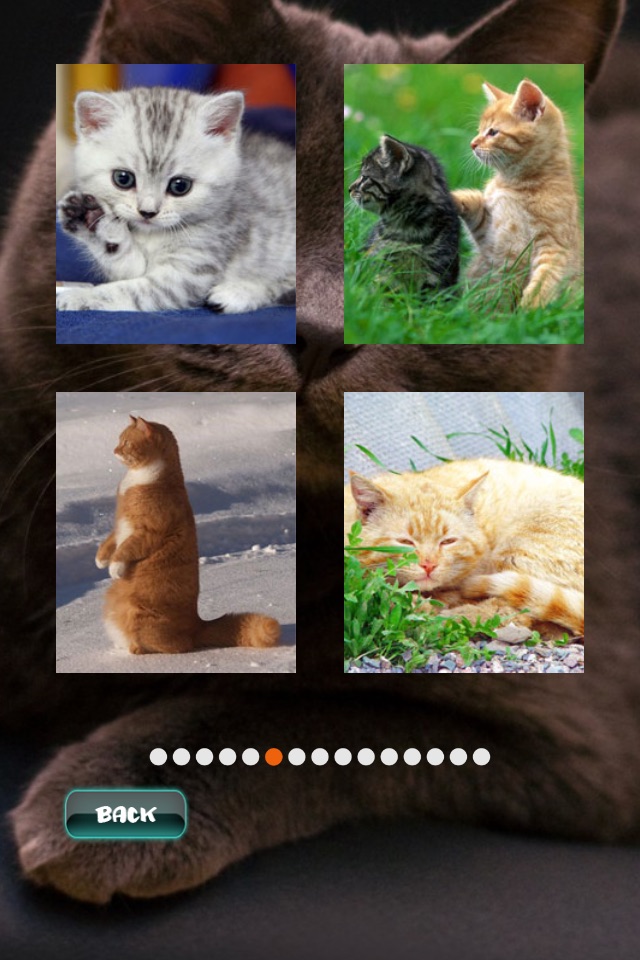 Cat Puzzles screenshot 2