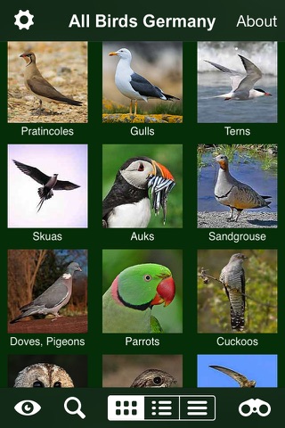 Alle Vögel Deutschland screenshot 2