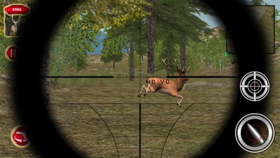 Wild Animal Hunting Adventure screenshot 3