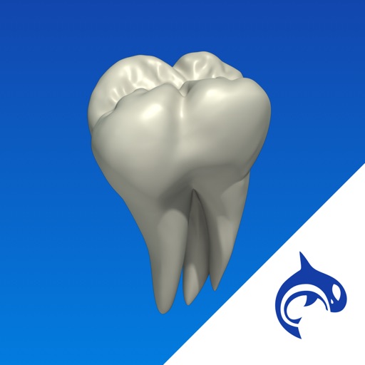 Dental Decide iOS App