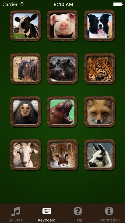 Animal Sounds.!