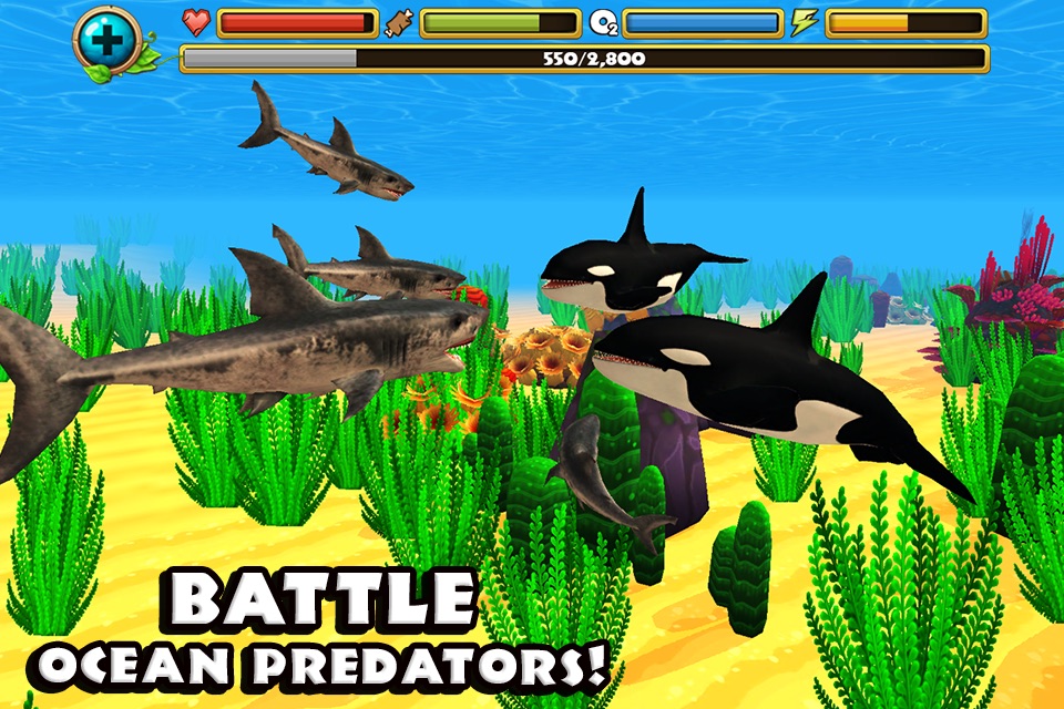 Wildlife Simulator: Shark screenshot 3
