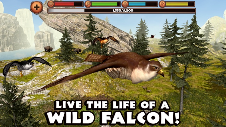 Falcon Simulator screenshot-0