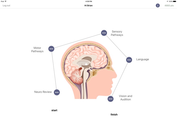 NeuroCircuits