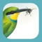 "In southern Africa the Sasol eBirds would undoubtedly be my first choice