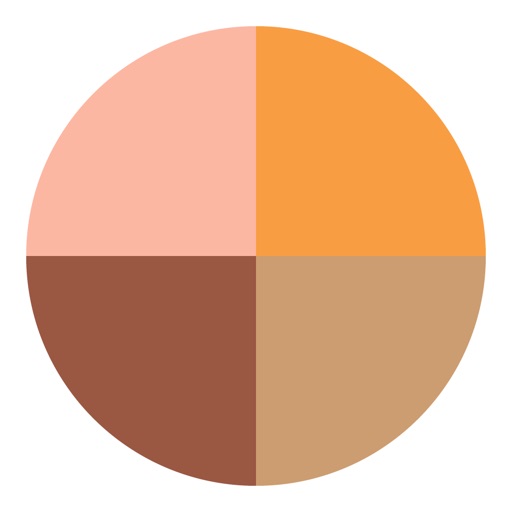 Segments orange series icon