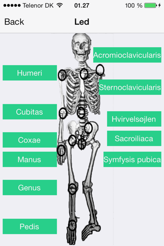 Anatomikort screenshot 4