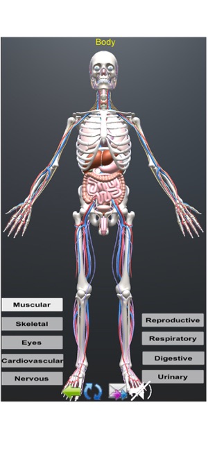 Human Anatomy Encyclopedia 3D(圖6)-速報App