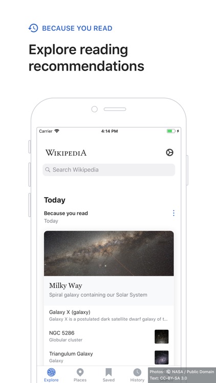 Wikipedia screenshot-3