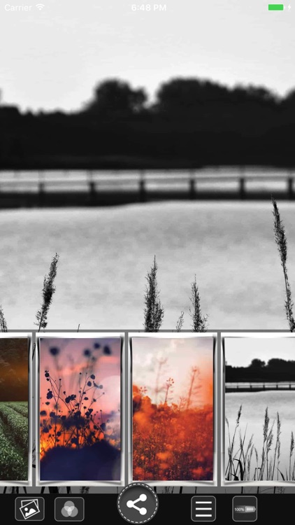 Flower HD Wallpapers screenshot-3
