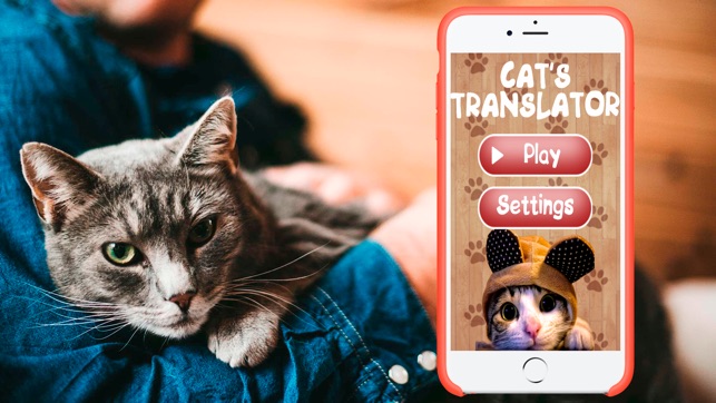 Cat Translator Simulator(圖3)-速報App