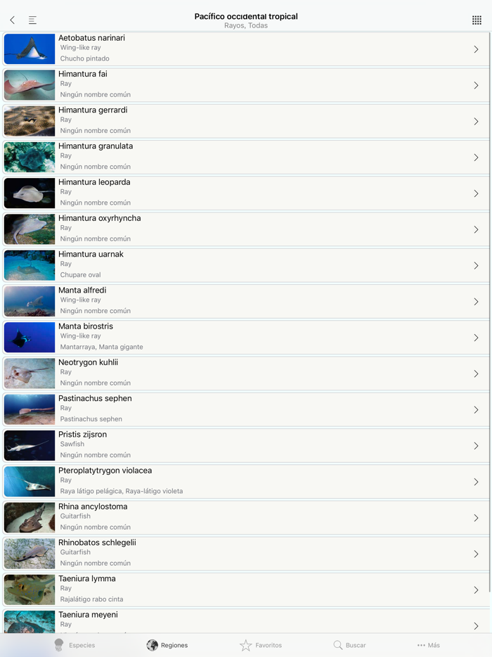 Sharks  Rays, by Reef Life