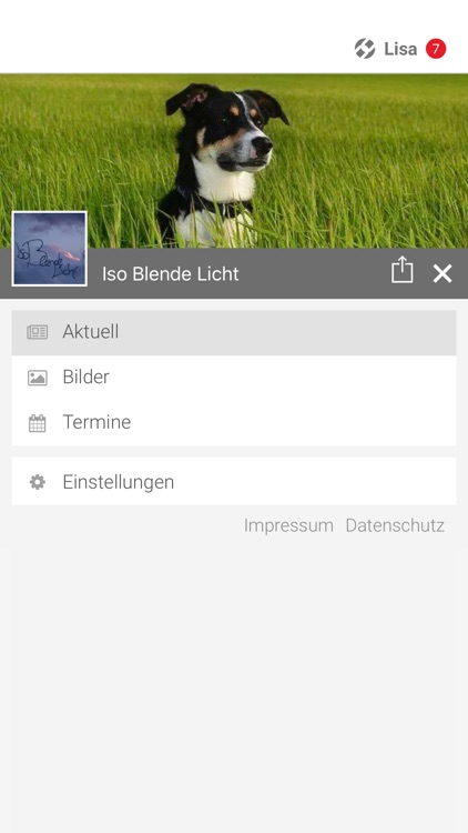 Iso Blende Licht