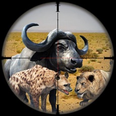 Activities of Frontier Animal Sniper Hunting