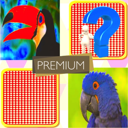 Match Card Pair : Premium icon