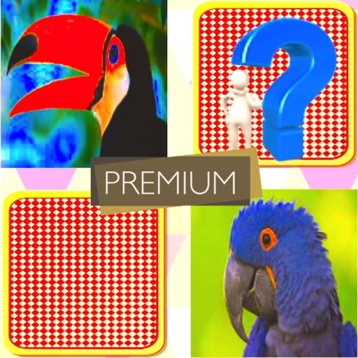 Match Card Pair : Premium