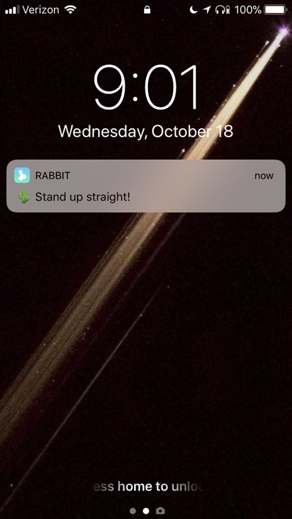 Rabbit - Habit Reminders