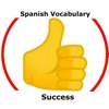 Spanish Vocabulary Success