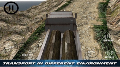 Cargo Truck Drive Hillup screenshot 3