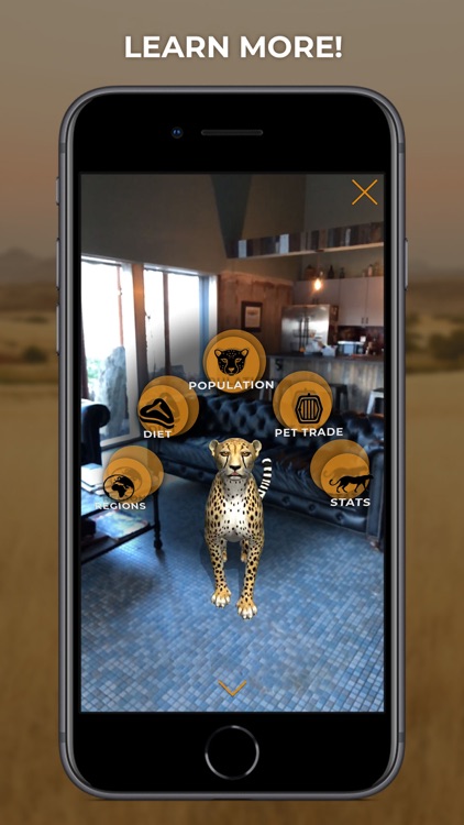 Virtual Cheetah