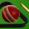 Cricket on a Pool Table