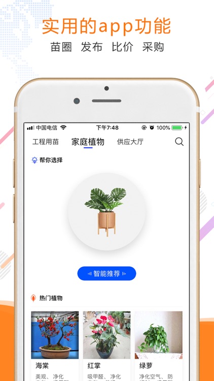 苗木之家 - 打造苗木百科全书