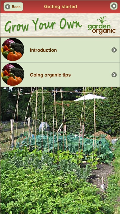 Growing Organic Vegetables