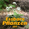 Essbare Pflanzen PRO