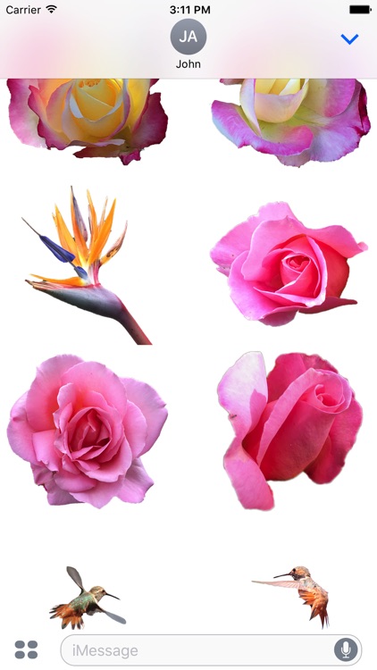 Hummingbird Flowers