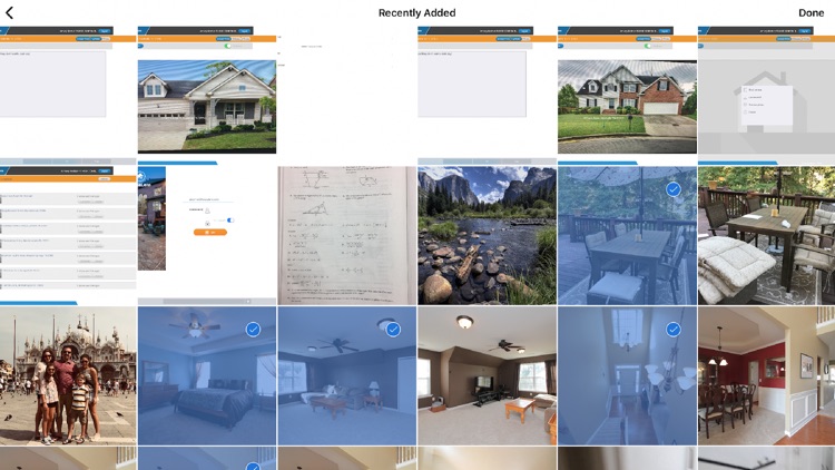 Artist Pro Enterprise