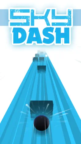 Game screenshot Sky Dash-Endless Roller mod apk