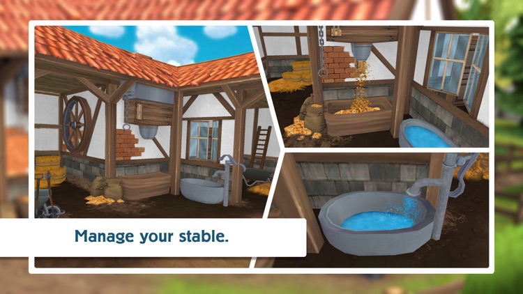 Horse Hotel - care for horses