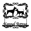 KENNEL　ASTREA　JAPAN