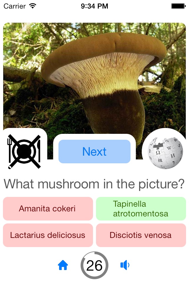 Guess Mushroom screenshot 4