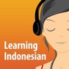 Icon Learning Indonesian Lessons