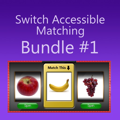 matching-switch-access-1-by-judy-lynn-software-inc