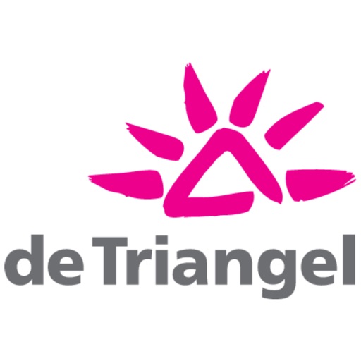 De Triangel icon