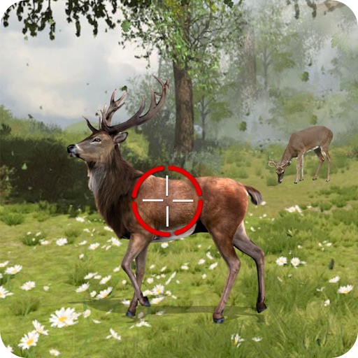Real Forest Animal Hunter icon
