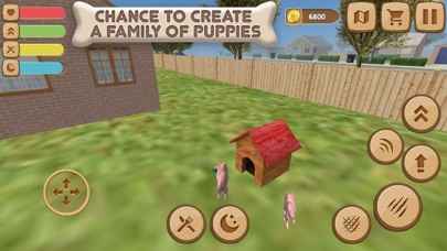 Pomeranian Dog City Wild Life screenshot 3