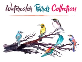 Downloads Birds Stickers for iMessage