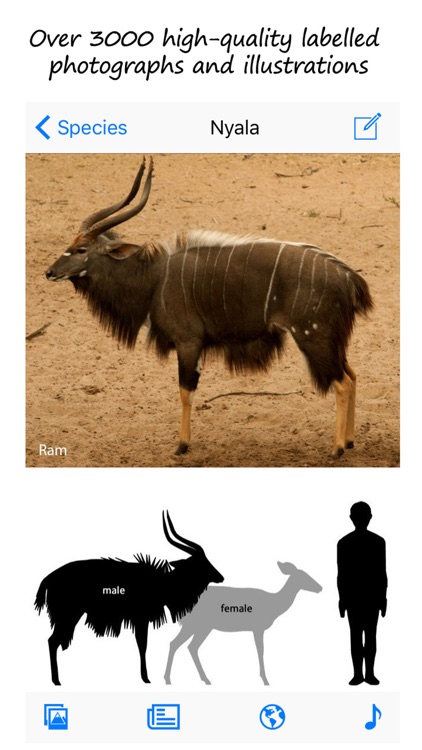 Stuarts' SA Mammals 5th Ed