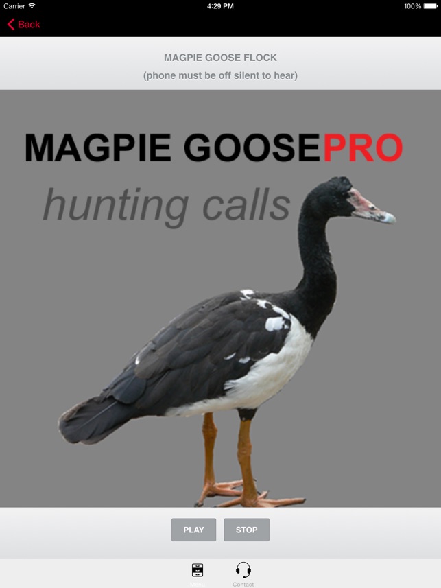 REAL Magpie Goose Calls - Hunting Calls for Magpie Geese -- (圖1)-速報App