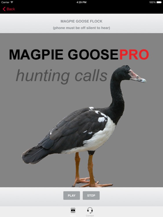 REAL Magpie Goose Calls - Hunting Calls for Magpie Geese -- (ad free) BLUETOOTH COMPATIBLE screenshot-0
