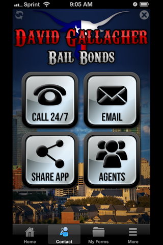 David Gallagher Bail Bonds screenshot 2